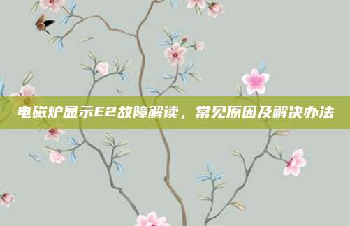 电磁炉显示E2故障解读，常见原因及解决办法