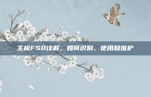 主板FS0详解，如何识别、使用和维护