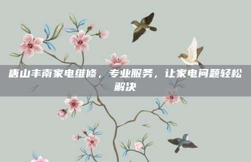 唐山丰南家电维修，专业服务，让家电问题轻松解决