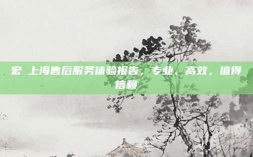 宏碁上海售后服务体验报告,专业、高效,值得信赖