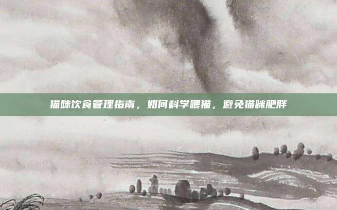 猫咪饮食管理指南，如何科学喂猫，避免猫咪肥胖