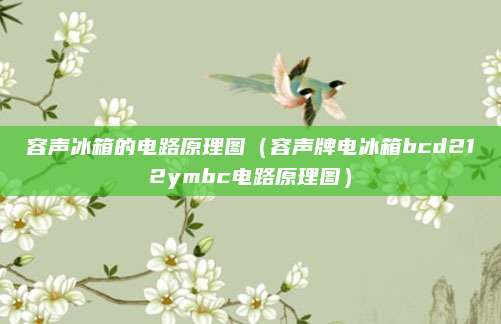 容声冰箱的电路原理图（容声牌电冰箱bcd212ymbc电路原理图）