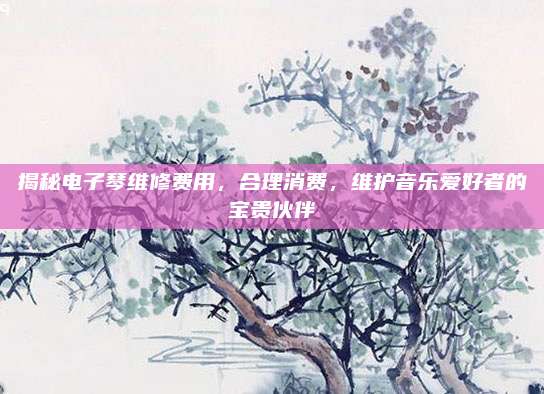 揭秘电子琴维修费用，合理消费，维护音乐爱好者的宝贵伙伴
