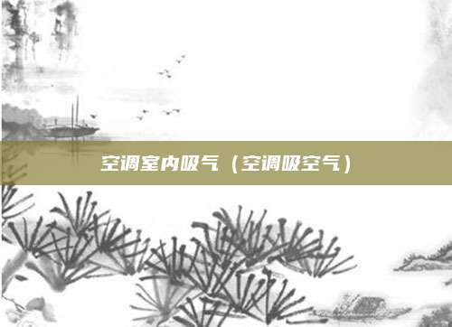 空调室内吸气（空调吸空气）