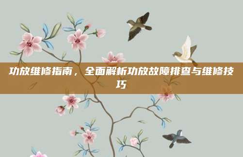 功放维修指南，全面解析功放故障排查与维修技巧
