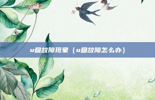 u盘故障现象（u盘故障怎么办）