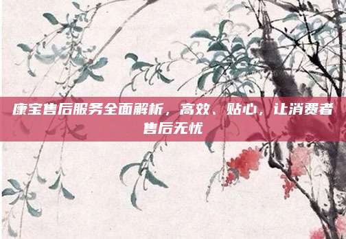康宝售后服务全面解析，高效、贴心，让消费者售后无忧
