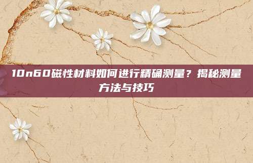 10n60磁性材料如何进行精确测量？揭秘测量方法与技巧