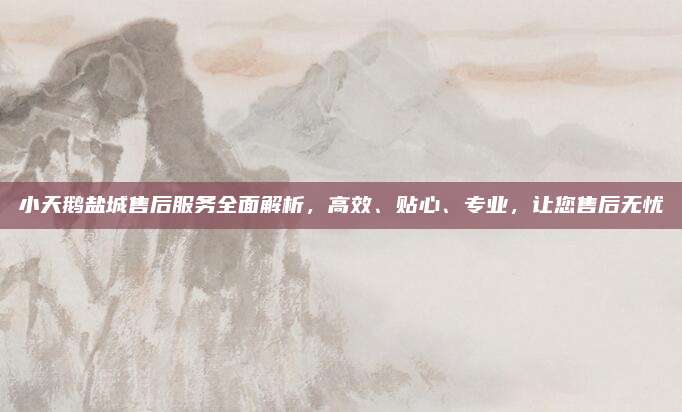 小天鹅盐城售后服务全面解析，高效、贴心、专业，让您售后无忧