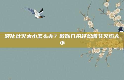 液化灶火太小怎么办？教你几招轻松调节火焰大小