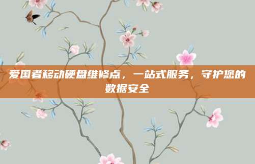 爱国者移动硬盘维修点，一站式服务，守护您的数据安全