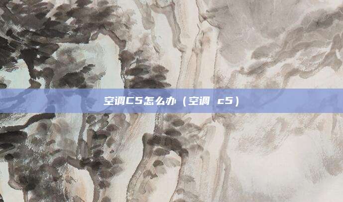 空调C5怎么办（空调 c5）