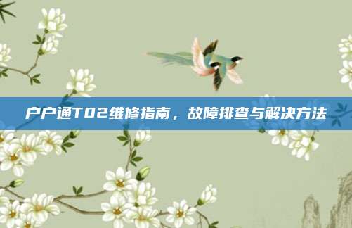 户户通T02维修指南，故障排查与解决方法