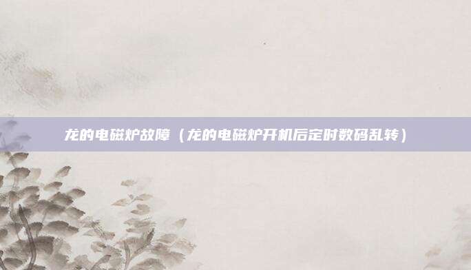 龙的电磁炉故障（龙的电磁炉开机后定时数码乱转）