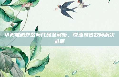 小鸭电磁炉故障代码全解析，快速排查故障解决难题