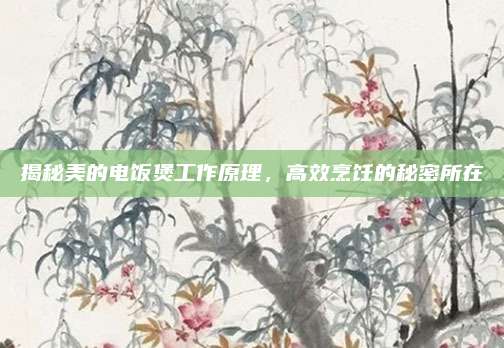 揭秘美的电饭煲工作原理，高效烹饪的秘密所在