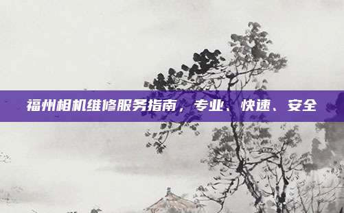 福州相机维修服务指南，专业、快速、安全