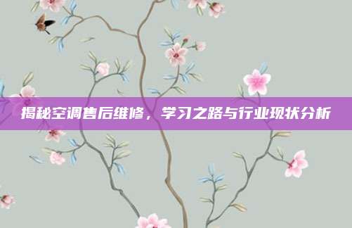 揭秘空调售后维修，学习之路与行业现状分析