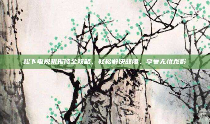 松下电视机报修全攻略，轻松解决故障，享受无忧观影
