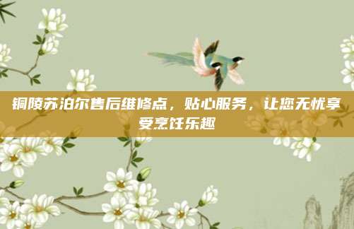 铜陵苏泊尔售后维修点，贴心服务，让您无忧享受烹饪乐趣