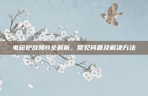 电磁炉故障B全解析，常见问题及解决方法