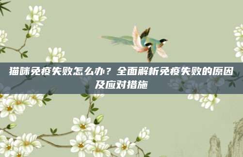 猫咪免疫失败怎么办？全面解析免疫失败的原因及应对措施