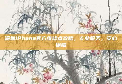 深圳iPhone官方维修点攻略,专业服务,安心保障
