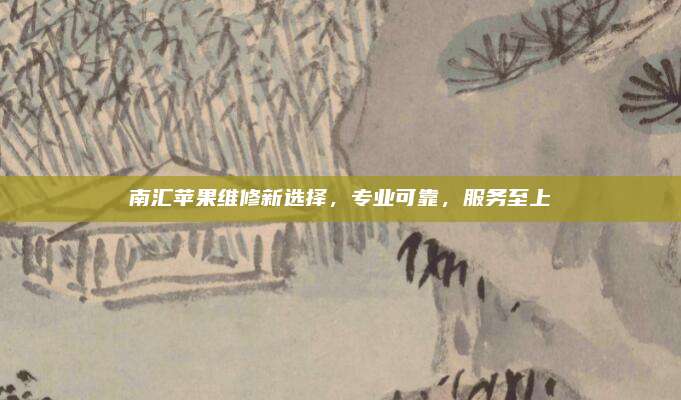 南汇苹果维修新选择，专业可靠，服务至上