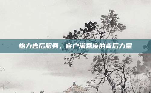 格力售后服务，客户满意度的背后力量