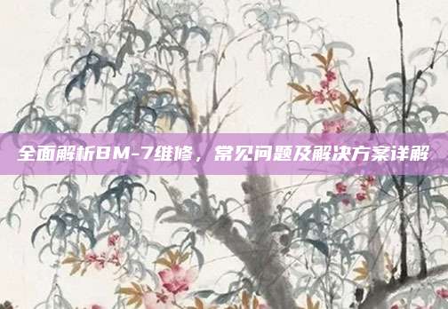 全面解析BM-7维修，常见问题及解决方案详解