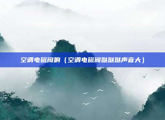 空调电磁阀响（空调电磁阀哒哒哒声音大）