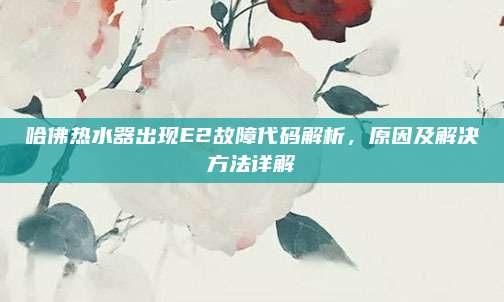 哈佛热水器出现E2故障代码解析，原因及解决方法详解