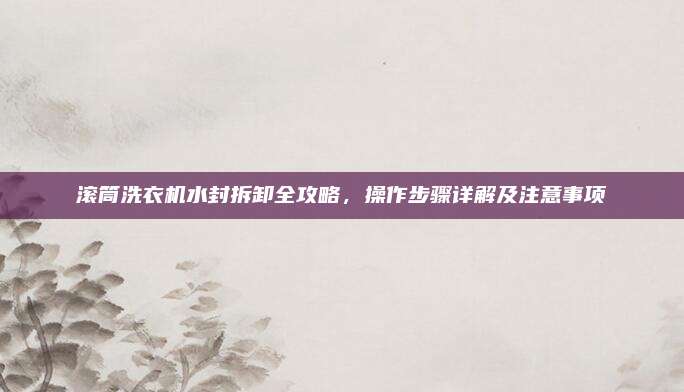 滚筒洗衣机水封拆卸全攻略，操作步骤详解及注意事项