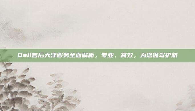 Dell售后天津服务全面解析，专业、高效，为您保驾护航
