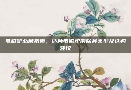 电磁炉必备指南，适合电磁炉的锅具类型及选购建议