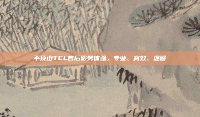 平顶山TCL售后服务体验，专业、高效、温馨