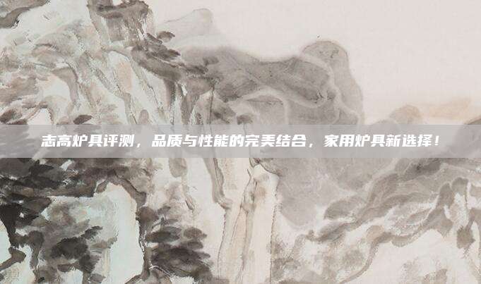 志高炉具评测，品质与性能的完美结合，家用炉具新选择！