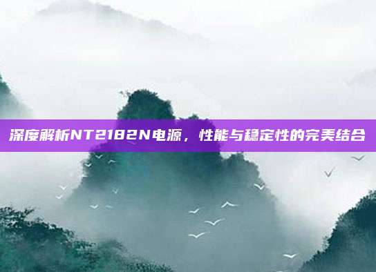 深度解析NT2182N电源，性能与稳定性的完美结合