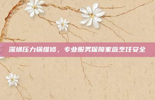 深圳压力锅维修，专业服务保障家庭烹饪安全