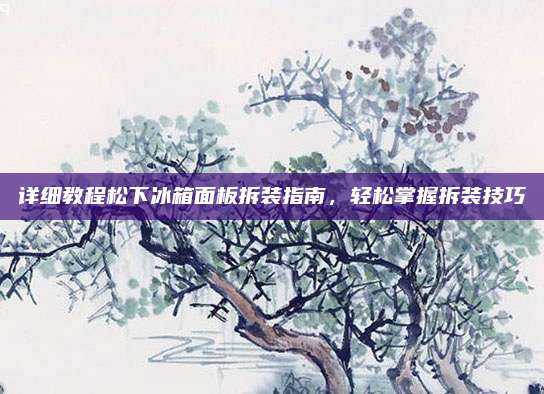 详细教程松下冰箱面板拆装指南，轻松掌握拆装技巧