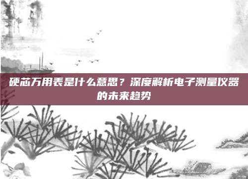 硬芯万用表是什么意思？深度解析电子测量仪器的未来趋势