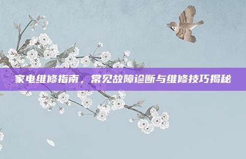 家电维修指南，常见故障诊断与维修技巧揭秘
