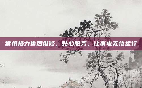 常州格力售后维修，贴心服务，让家电无忧运行