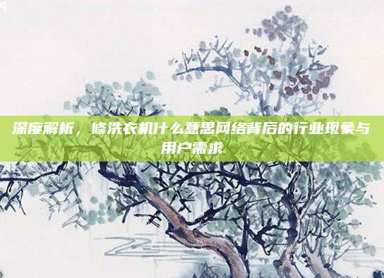 深度解析，修洗衣机什么意思网络背后的行业现象与用户需求