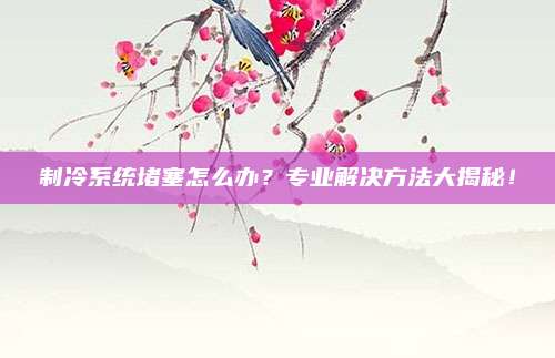 制冷系统堵塞怎么办？专业解决方法大揭秘！