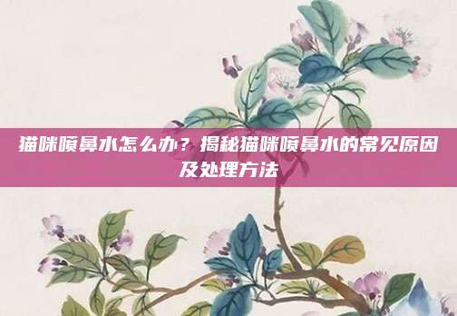 猫咪喷鼻水怎么办？揭秘猫咪喷鼻水的常见原因及处理方法