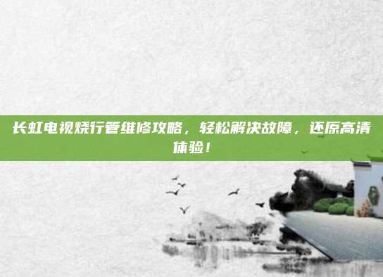 长虹电视烧行管维修攻略，轻松解决故障，还原高清体验！