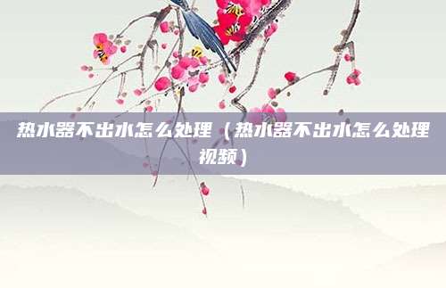 热水器不出水怎么处理（热水器不出水怎么处理视频）