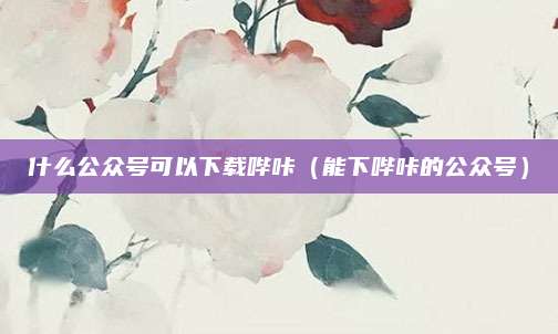什么公众号可以下载哔咔（能下哔咔的公众号）