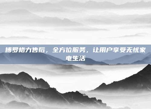 博罗格力售后，全方位服务，让用户享受无忧家电生活